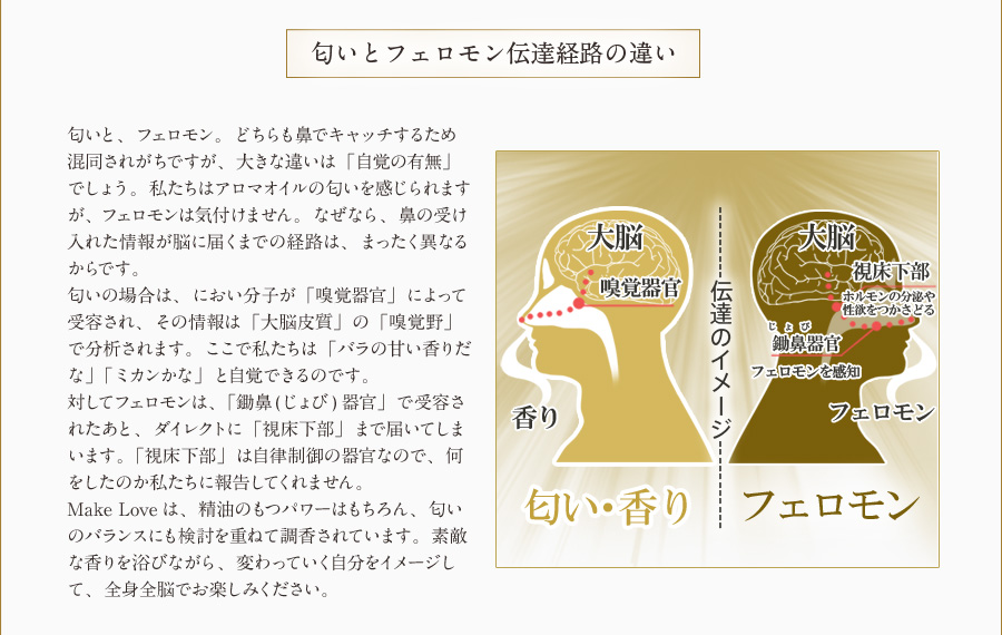 匂いとフェロモン伝達経路の違い